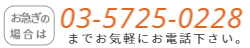 28街頭サンプリングガイドTEL